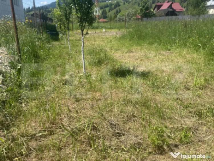 Teren intravilan in Vatra Dornei, 1000 mp - 4