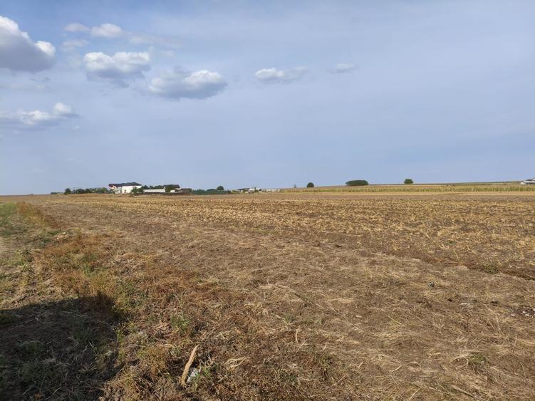 Teren intravilan 320 mp, Berceni - Strada Primaverii - 5