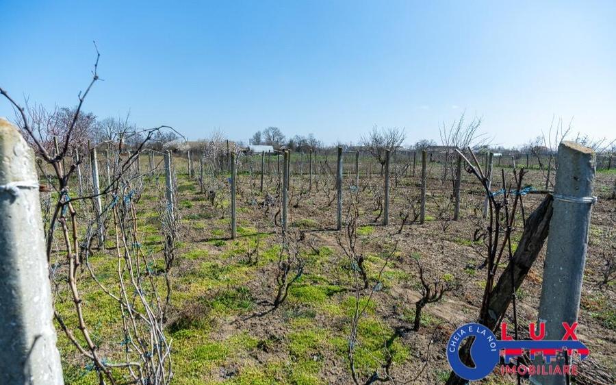 ID 6675 EXCLUSIVITATE - Teren cu casa in Sat Lunca- DELTA DUNARII - 26