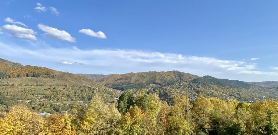 Teren retras panoramic Valea Doftanei 1350 mp panta lina, cu utilitati - 7