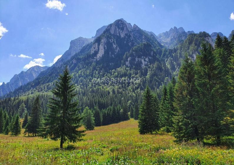 Teren intravilan in Busteni, PH, 8200 mp, front stradal 118 ml