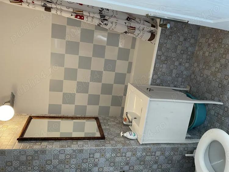 Apartament vintage-chic Grigorescu - 4