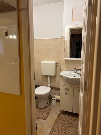 Proprire rar vând apartament 3 camere Sagului/Dambovita - 5