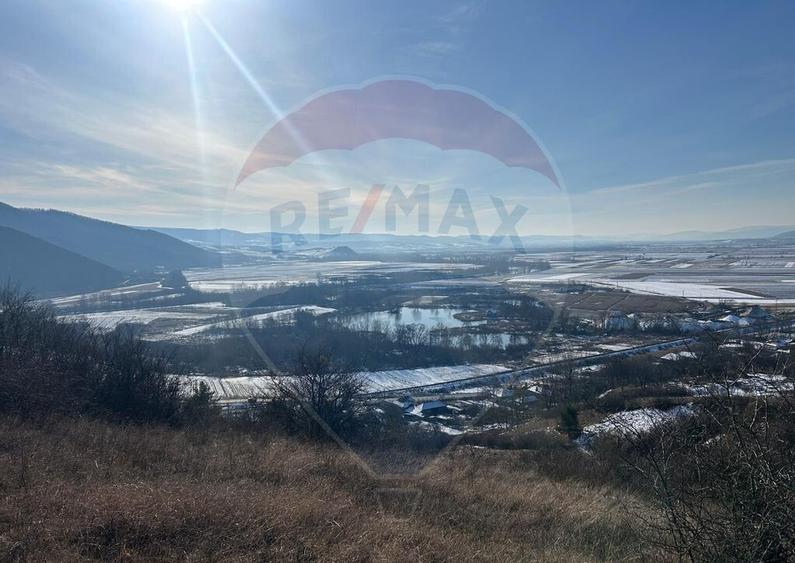 Teren de vanzare - 207.000 mp in Benesat, cu panorama ... - 1