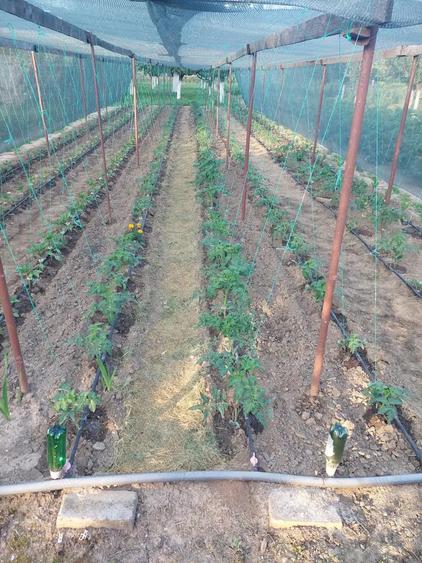 Casa de vanzare in Slatina, cartier Clocociov - 1