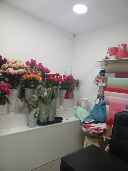 Gara De Nord, vand spatiu cu chirias stabil - 2