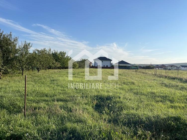 Teren Intravilan 1450mp - Jucu de Mijloc - 1