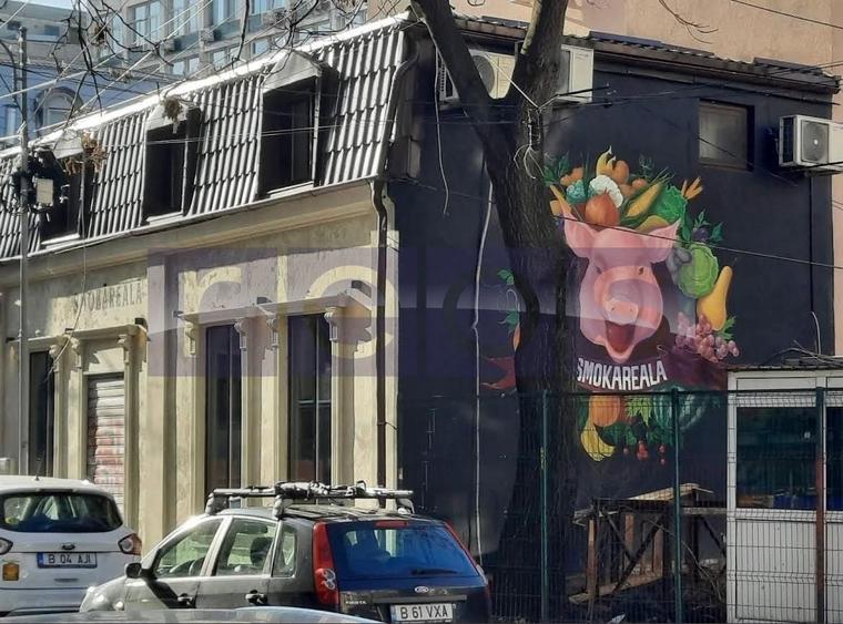 VANZARE CASA VILA PIATA ROMANA AMZEI ULTRACENTRAL INVESTITIE 135MP - 4