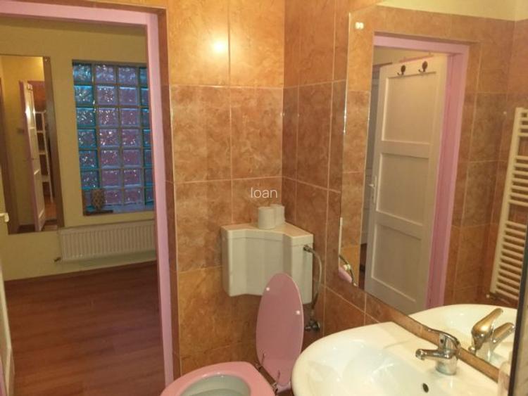Dau in chirie casa in Cluj-Napoca la 100m de UMF Iuliu Hatieganu