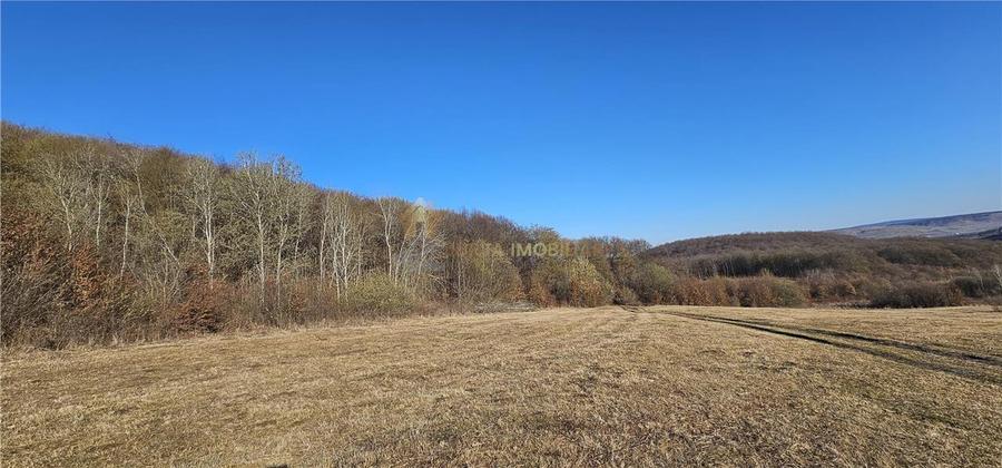 TEREN EXTRAVILAN 6119 MP TAUTI - 1