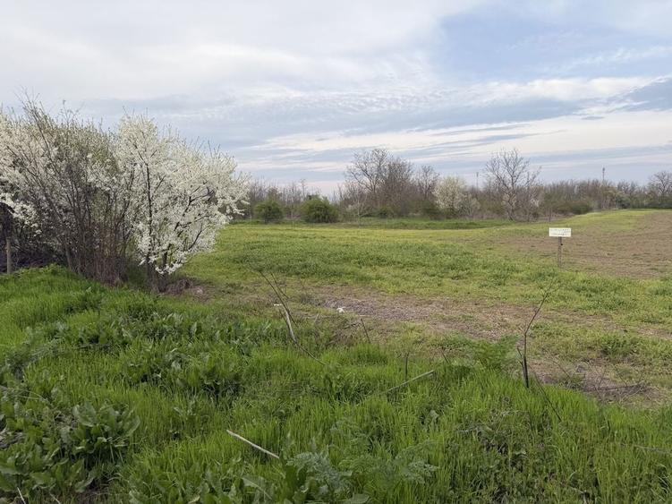 Teren intravilan 700mp, Lilieci, Ialomita(20 min de Bucuresti) - 2