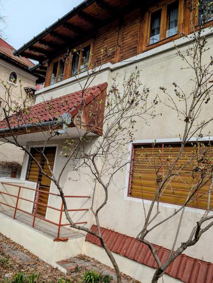 Ferdinand,S+P+E,zona protejata de vile,langa parc,strada cu spatiu verde,liniste - 2