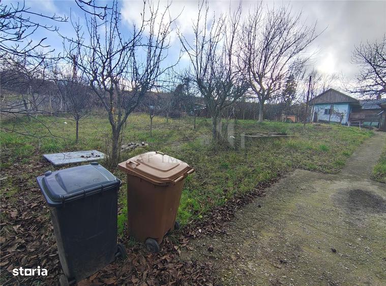 Teren Bucium - Trecatoarea Paun - 9