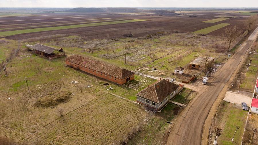 Fermă cu teren intravilan de 35000 mp în Mișca - 1