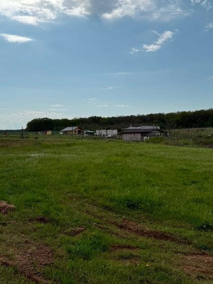 Teren intraan chisirid - 6