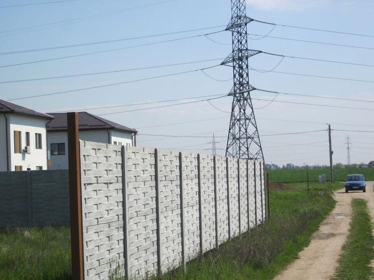 Domnesti-Simfoniei. - 11