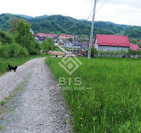 Teren 37.5 ari intravilan - 1