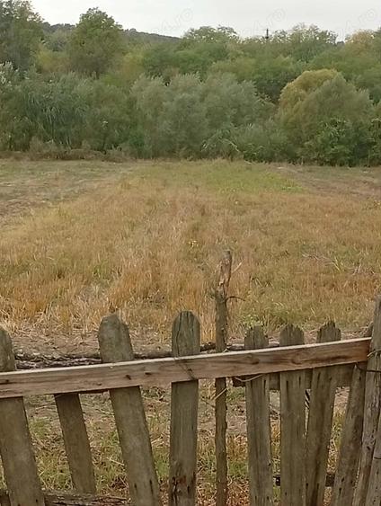 Casa+Teren de Vanzare comuna Negomir sat Raci - 2