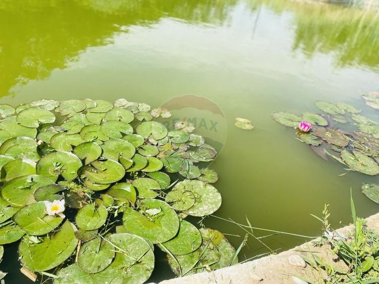 Vilă de vânzare Padurea Snagov - 20