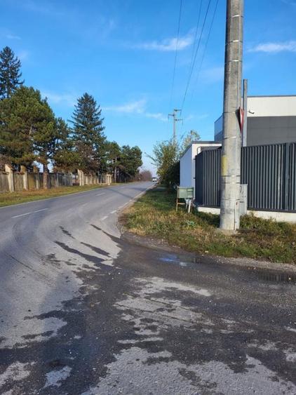 Teren 9000 Com. Clinceni Jud. Ilfov - 6