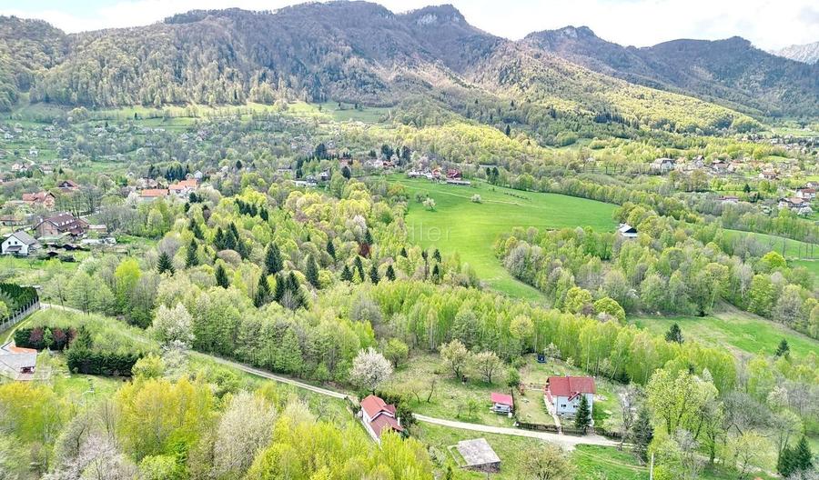 Teren intravilan Bran- Predelut - 3