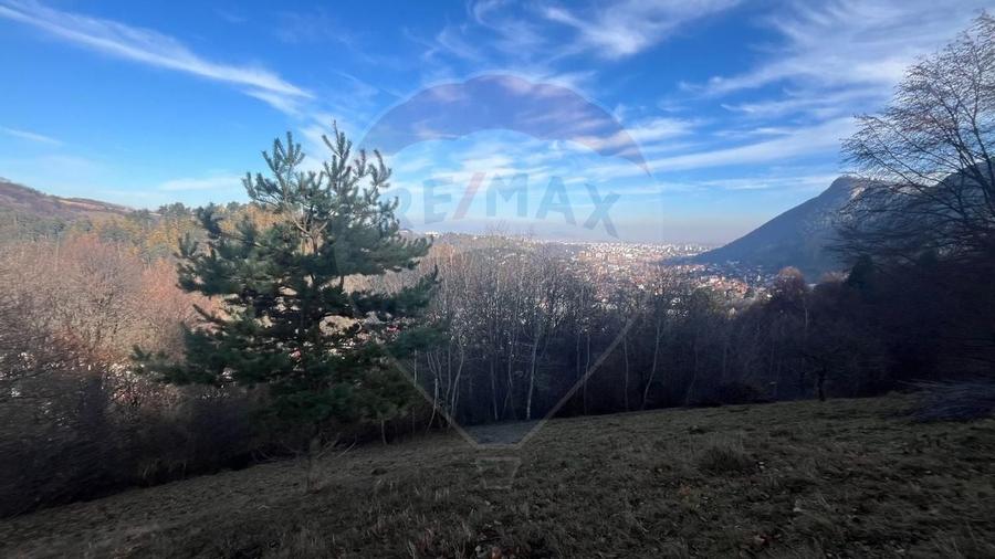 Teren Colinar Panoramic – 17.684 mp în Scheii Brașovului - 10