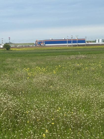 Teren extravilan Alexandria de Inchiriat sau de vanzare. - 5