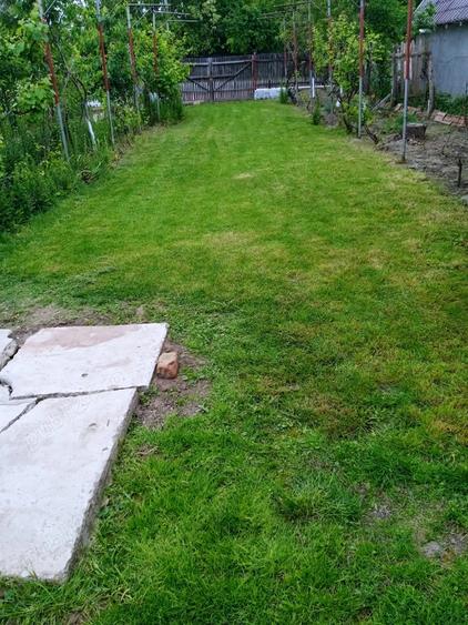 Vand Teren+Casa Batraneasca Olarii Vechi, Prahova - 4