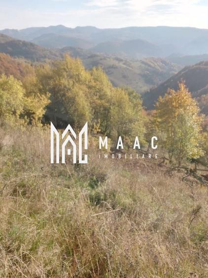 Super ofertă 35000 teren in Muntii Apuseni - 14