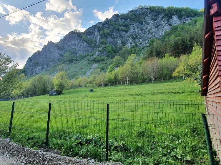 Teren de vânzare în Lepșa – ideal pentru pensiune sau casă de vacanță - 1
