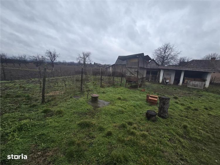 RECO Casa in Tauteu - 8