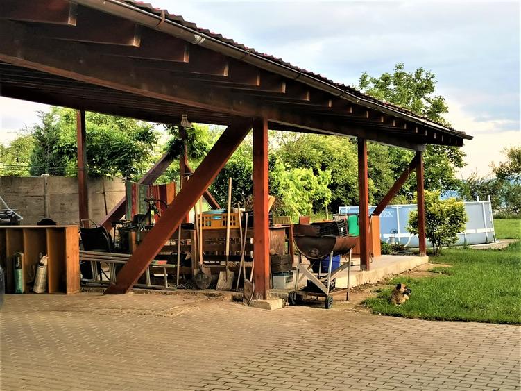 Casa Individuala Gusterita - 10