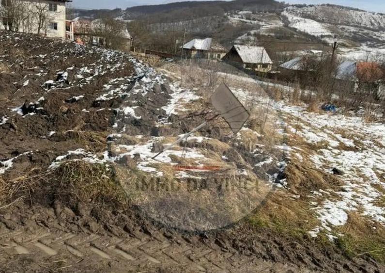 Vanzare teren itravilan Sanmartin,com. Chinteni CJ - 2