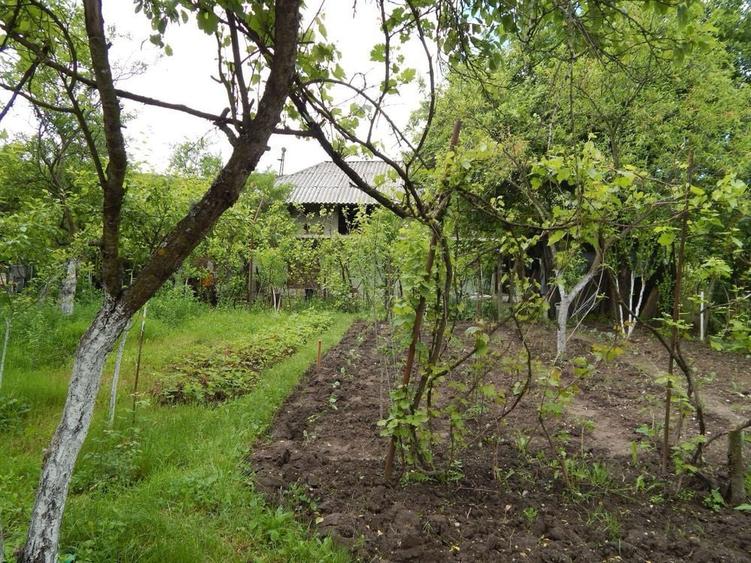 Casa bunicilor la tara - 3