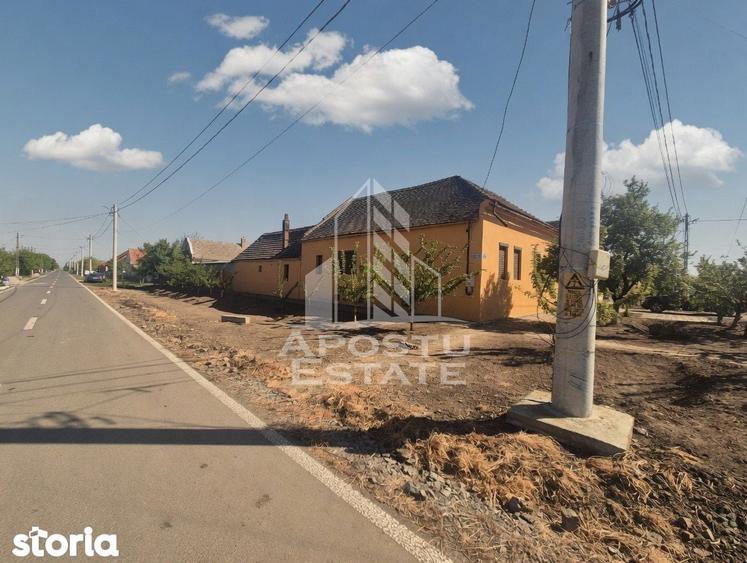 PROPRIETATE PREMIUM TEREMIA MARE - APOSTU ESTATE - 9