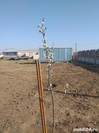 Vinzare teren intravilan - 4