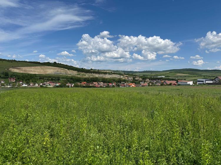 De vanzare teren intravilan Sura Mare - 6