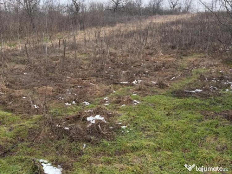 Terenarabil de 700mp la 10000 euro la 60 mp de str E70 Raco - 3