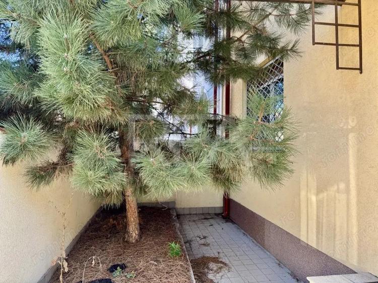 3 camere langa Piata Floreasca pretabil si comercial - 8