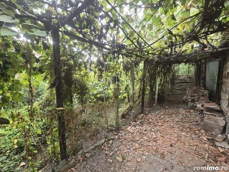 Imobil format din 2 cladiri, zona Stefan cel Mare, Sighisoara - 7