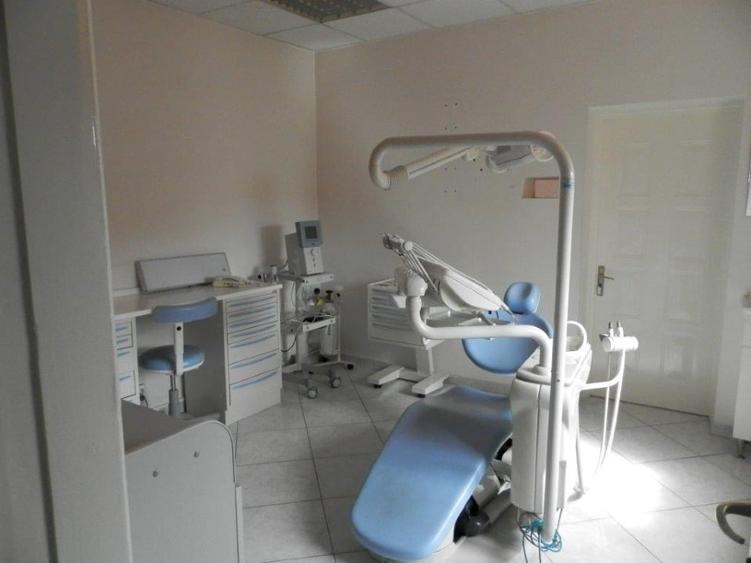 VANZARE VILA 9 CAMERE 320 MP UTILI CURTE INDEPENDENTA . - 3