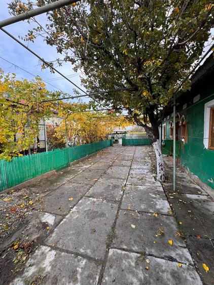 Casa de vanzare Bistrita Noua - 8