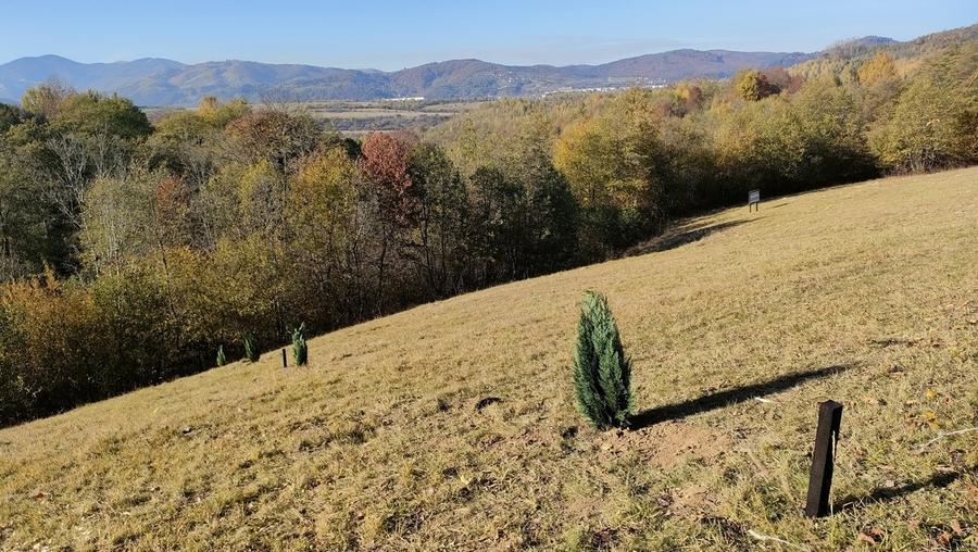 Tohanita, Brasov - 3