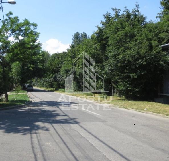 Casa individuala in Zona Fabric cu teren generos de 798 mp - 1