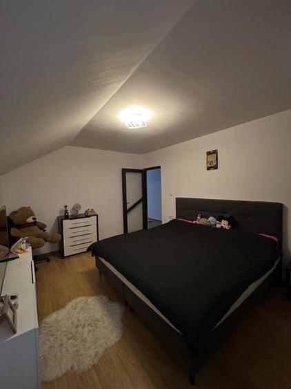 Vand casa in Branistea - 3