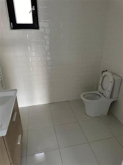 Spatiu de inchiriat - deschidere la E85 - Nicolae Balcescu - 9