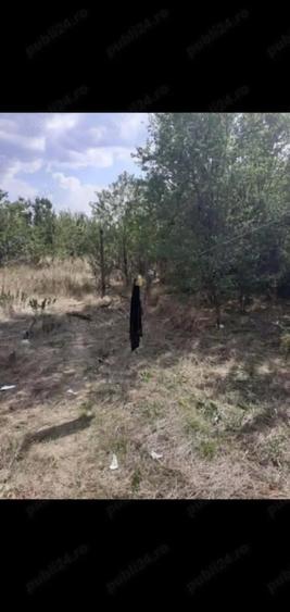 casa de vanzarea - 2