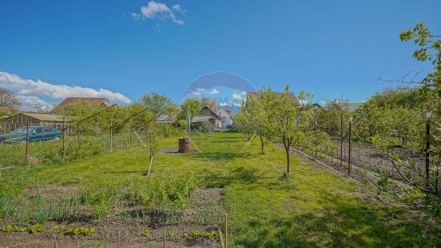 Spatiu Comercial/Afacere si casa de vanzare/zarnesti/Brasov - 4