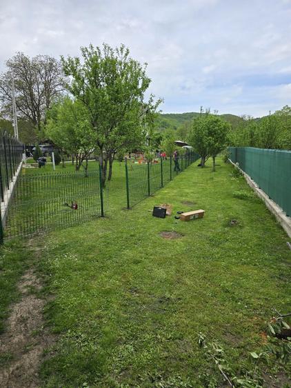 Teren de vanzare Brebu jud PH - 7