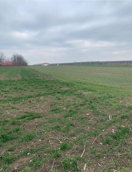 Vanzare Teren extravilan Afumati Autostrada A0 - 3